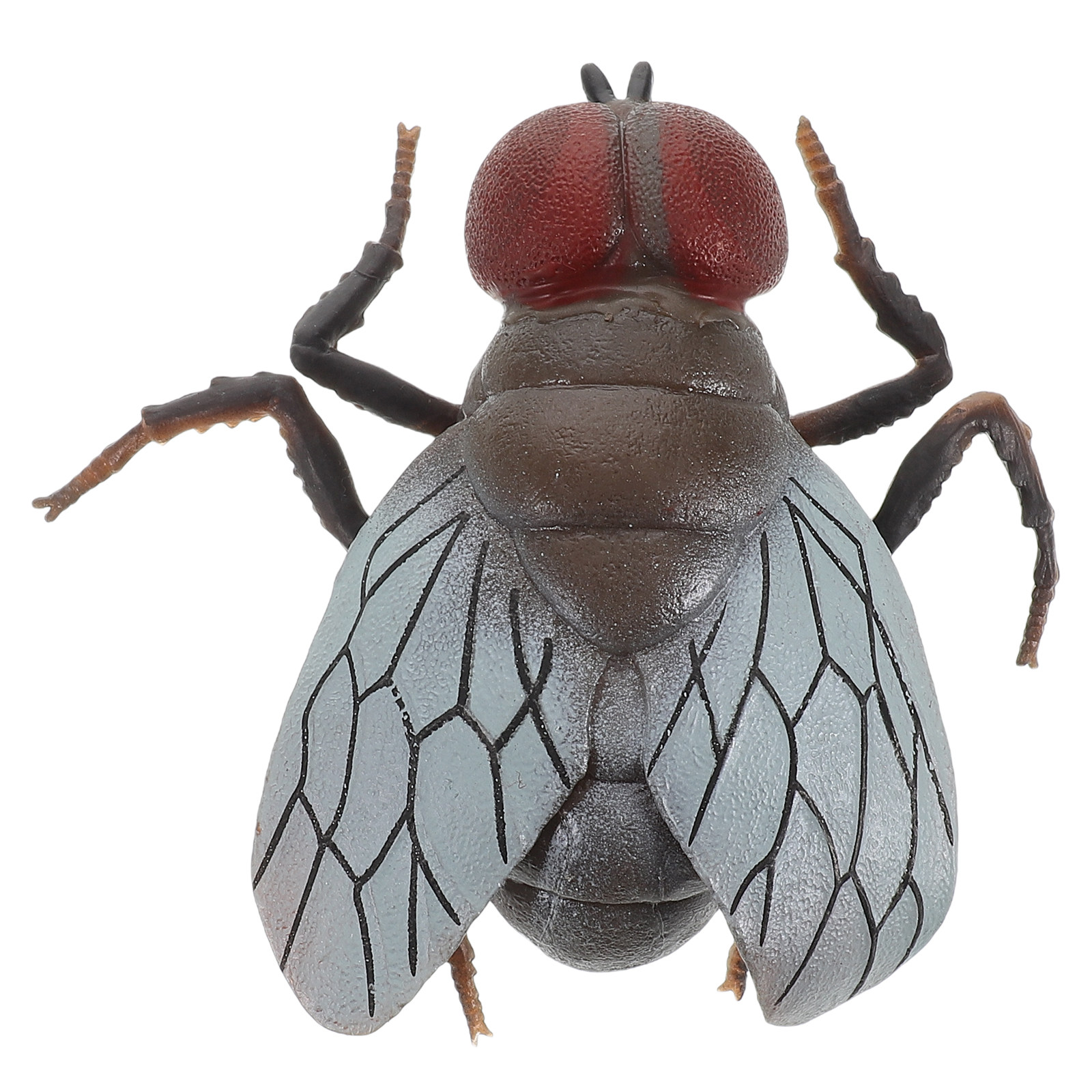 Jouet d'insecte mouché réalist - Prank Toys avis et prix
