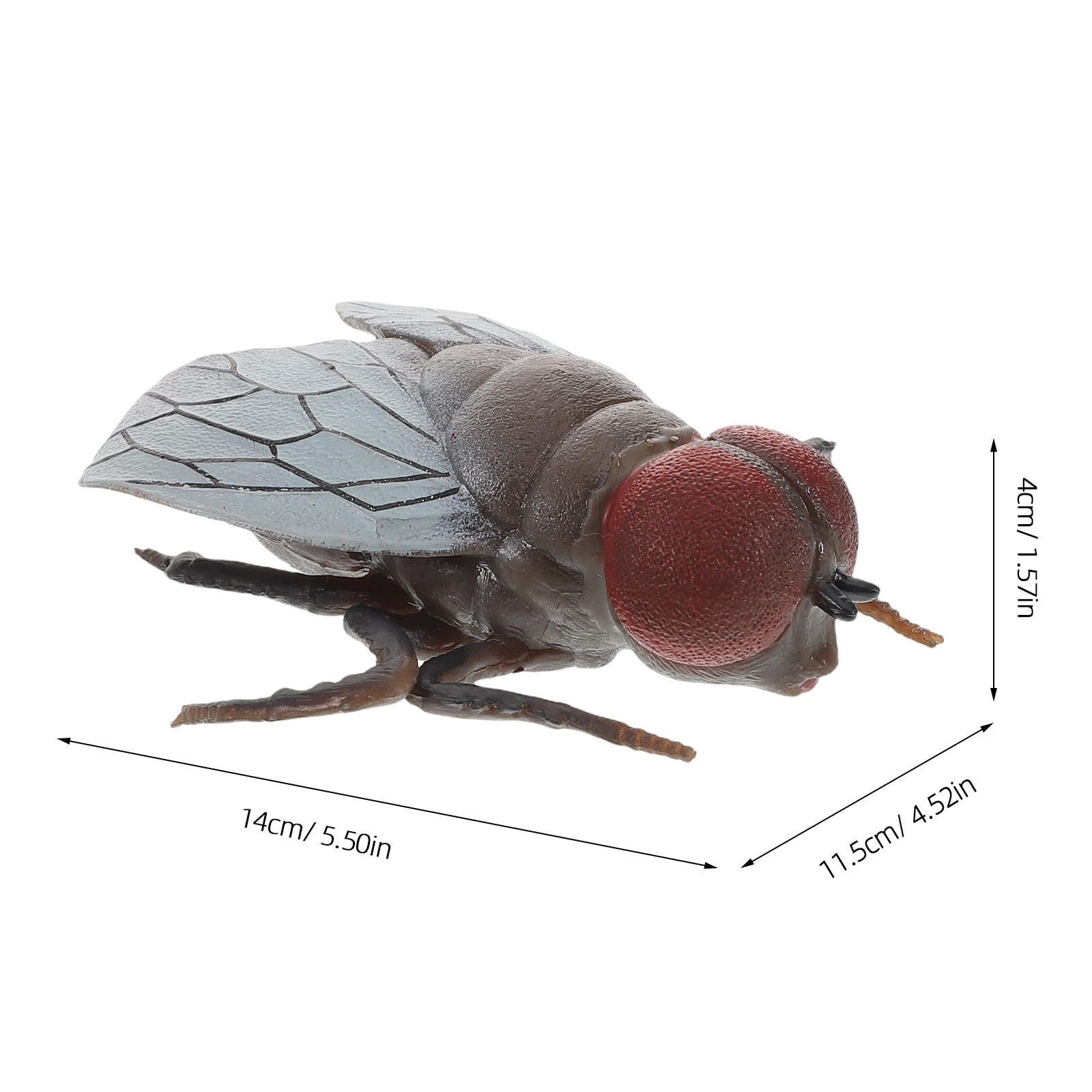 Jouet d'insecte mouché réalist - Prank Toys avis et prix
